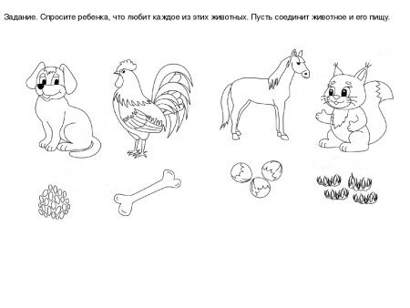 Животные задания для дошкольников