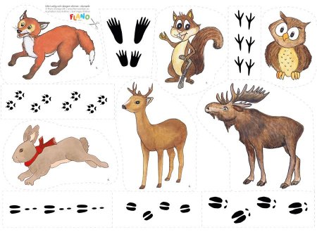 Задания для детей чьи следы