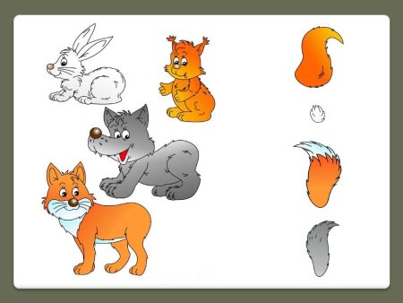 Игра "чей хвост?" Дикие животные леса