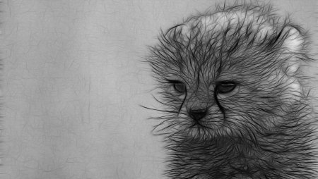 Рисунки карандашом животные