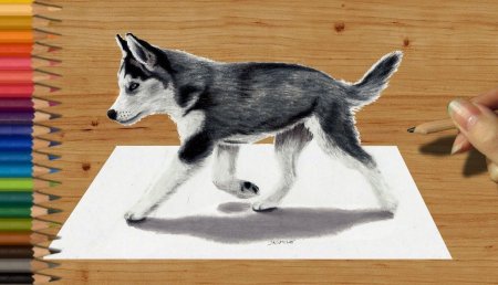 3д рисунки животных карандашом