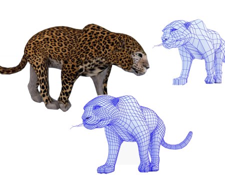 Животные для моделирования