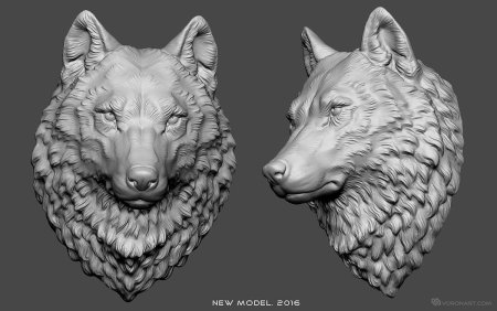 Волк референс для 3d