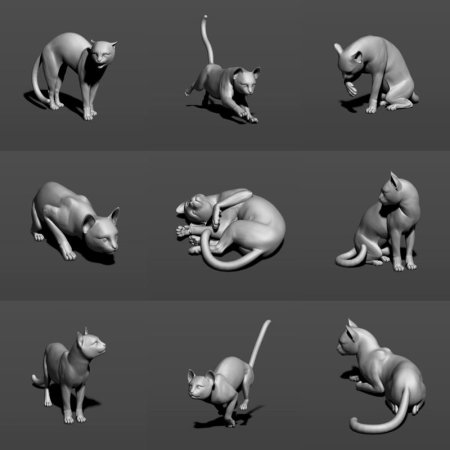 Кошачьи позы