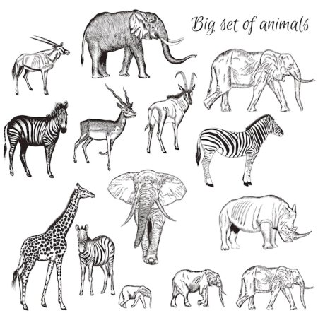 Редкие животные вектор