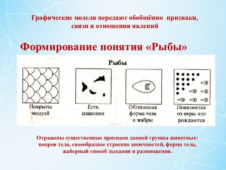 Графическая модель рыбы для дошкольников