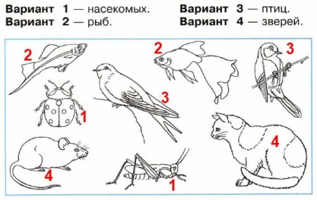 Окружающий мир 2 класс рабочая тетрадь 2 часть Плешаков стр 43