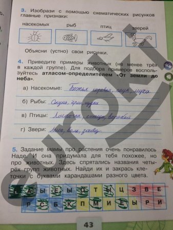 Графические модели животных