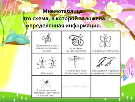 Модель признаки животных