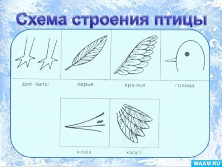 Модель рыбы для дошкольников