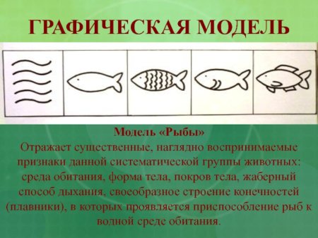 Графическая модель звери