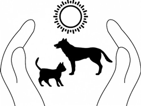 Защита животных рисунок