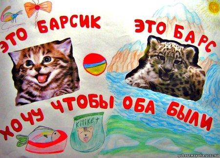 Рисунок берегите животных