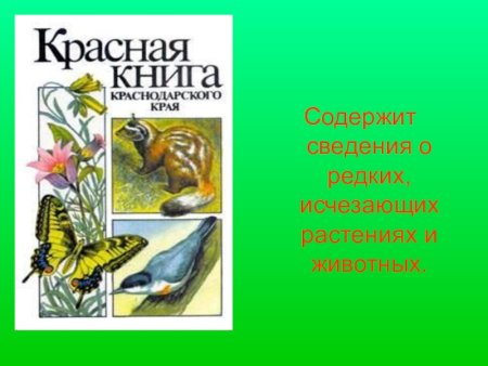 Редкие и исчезающие животные Краснодарского края