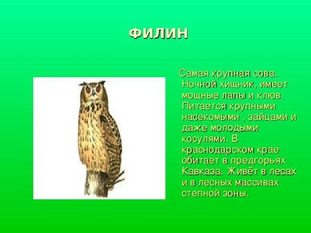 Животные красной книги Краснодарского края