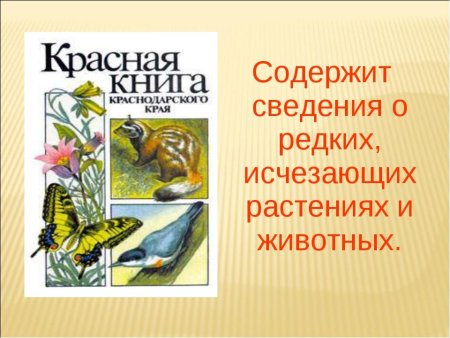 Красная книга Краснодарского края животные обложка