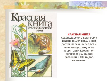 Животные и растения Кубани занесенные в красную книгу