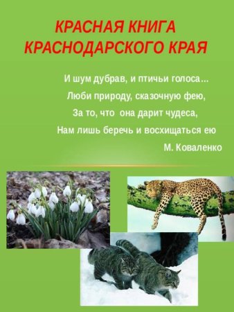 Красная книга зверей и растений Краснодарского края