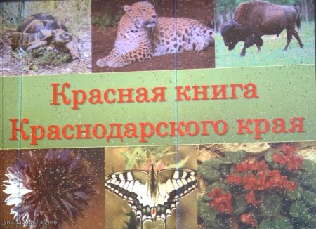 Красная книга Краснодарского края книга