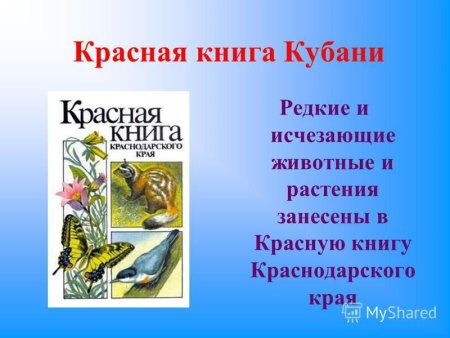 Животных и растений, занесённых в красную книгу Краснодарского края