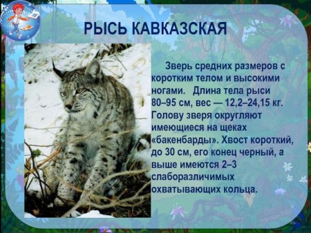 Животные Краснодарского края занесенные в красную книгу