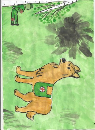 Раскраска собаки на войне