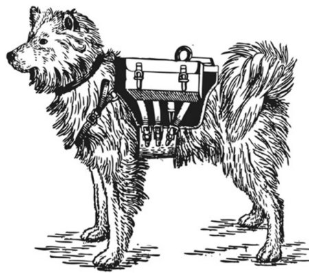 Собаки-санитары в Великой Отечественной войне