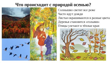 Мнемотаблицы по теме осень в старшей группе