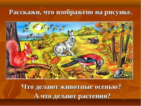 Осенние изменения у животных
