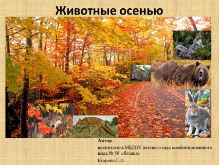 Осенние явления в жизни