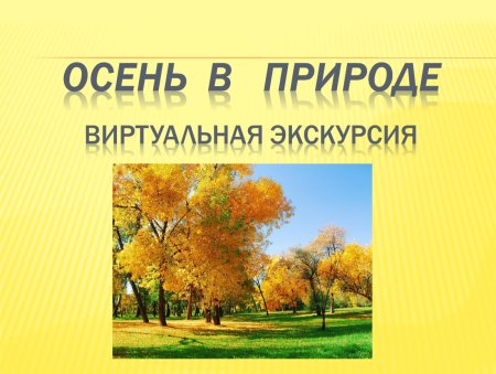 Осенние изменения в жизни животных