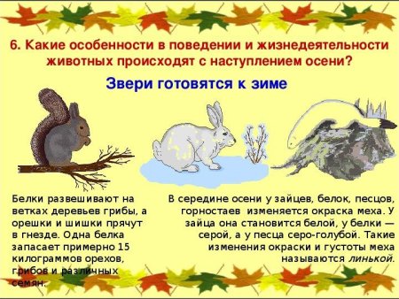 Осенние изменения в природе