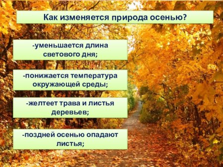 Признаки осени для детей