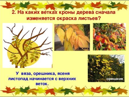 Осенние явления в живой и неживой природе