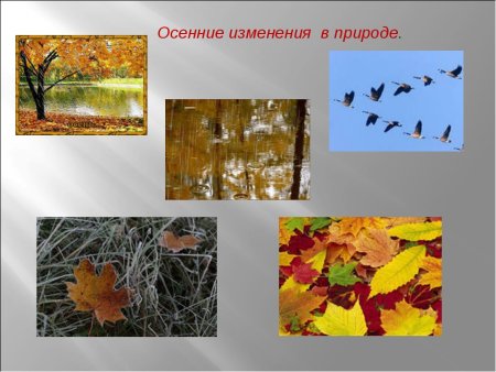Изменения растений осенью