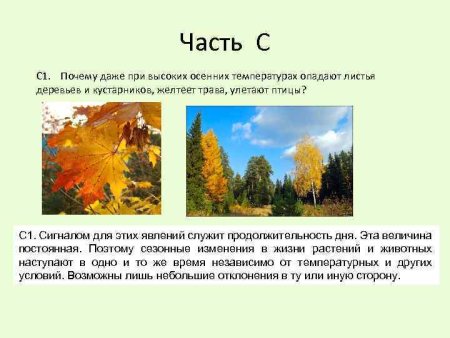 Сезонные изменения осенью