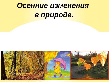 Причины листопада осенью