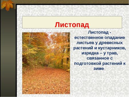 Сезонные явления в природе осенью