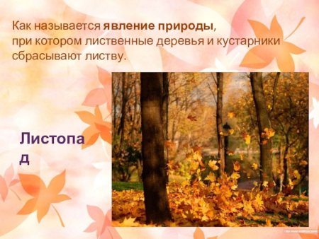 Раскраска зима Весна лето осень