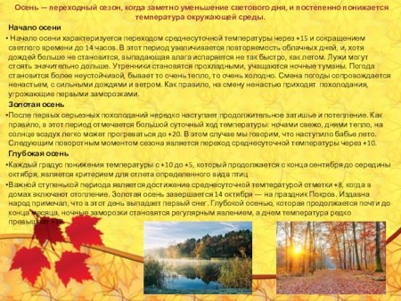 Отчет по экскурсии осенние явления