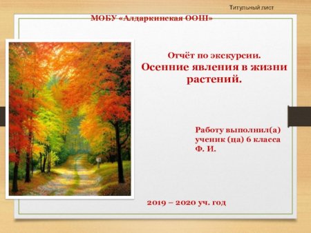 Растения осенью для детей