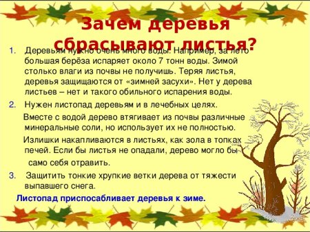 Осенние явления в жизни растений 5 класс биология