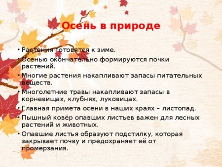 Признаки осени для детского сада