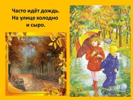 Проект осенние явления в жизни растений