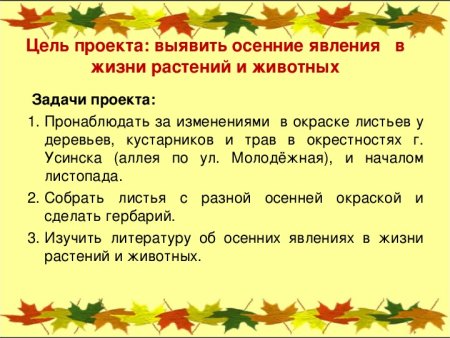Осень сезонные изменения
