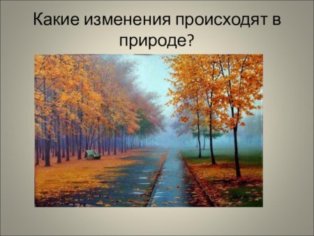 Признаки осени для детского сада
