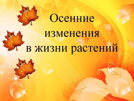 Осень в жизни растений