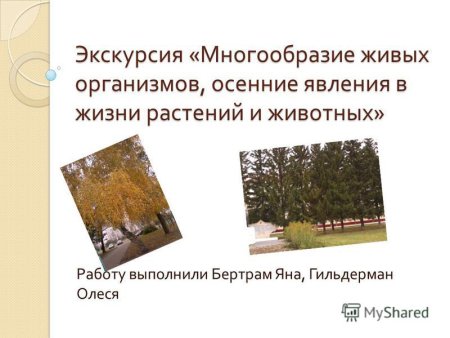 Презентация на тему листопад
