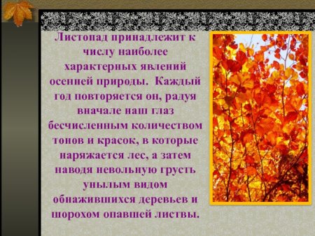 Осенние явления в жизни растений