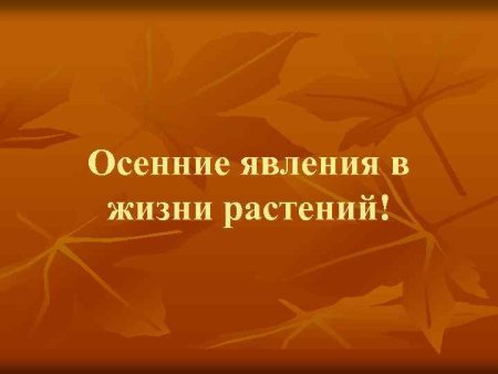 Сезонные изменения в природе раскраска